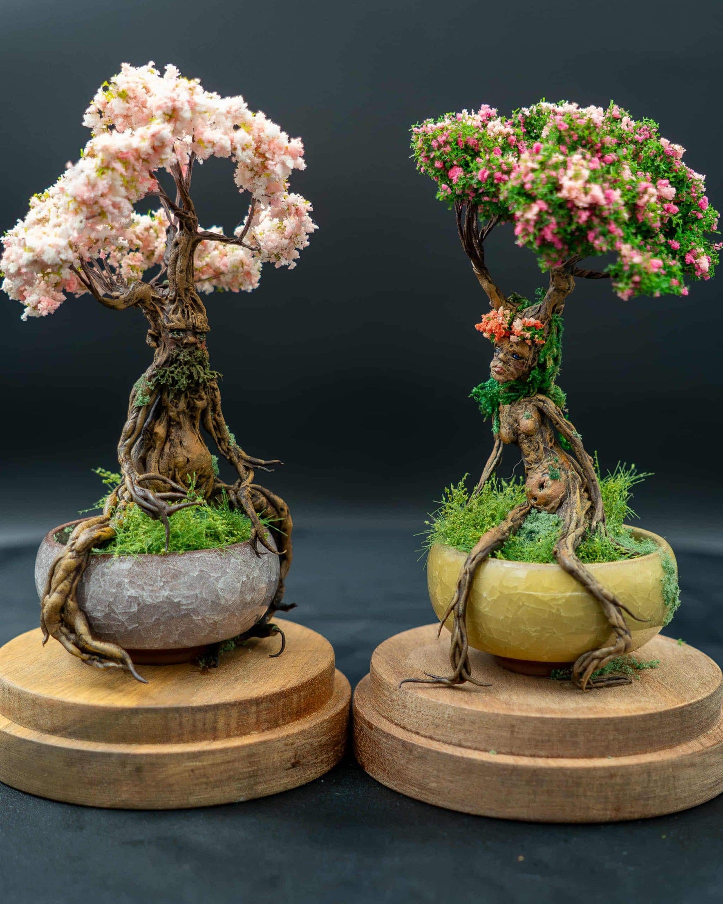 Bonsai Ent sous globe