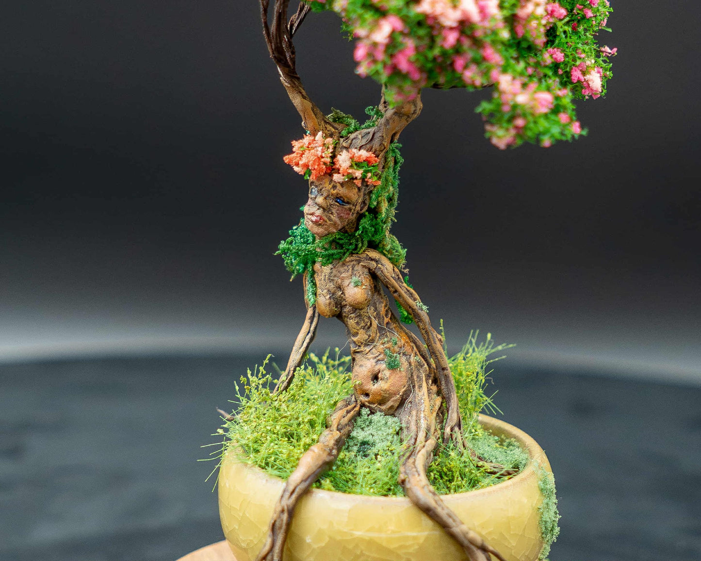 Bonsai Femme Ent sous globe