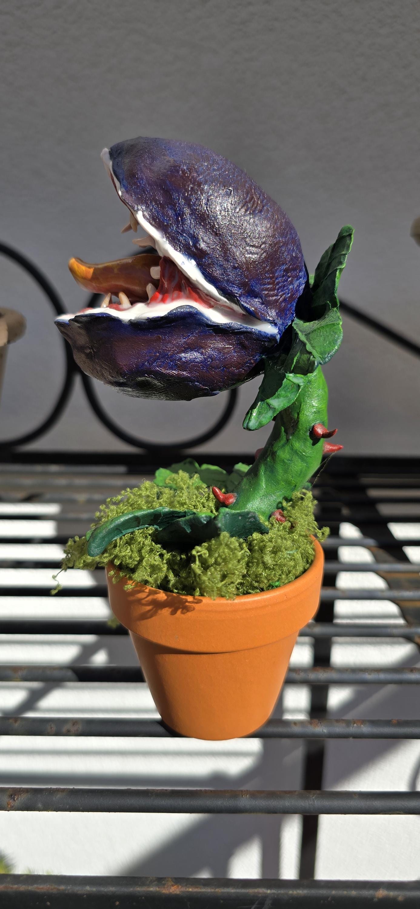 Plante carnivore