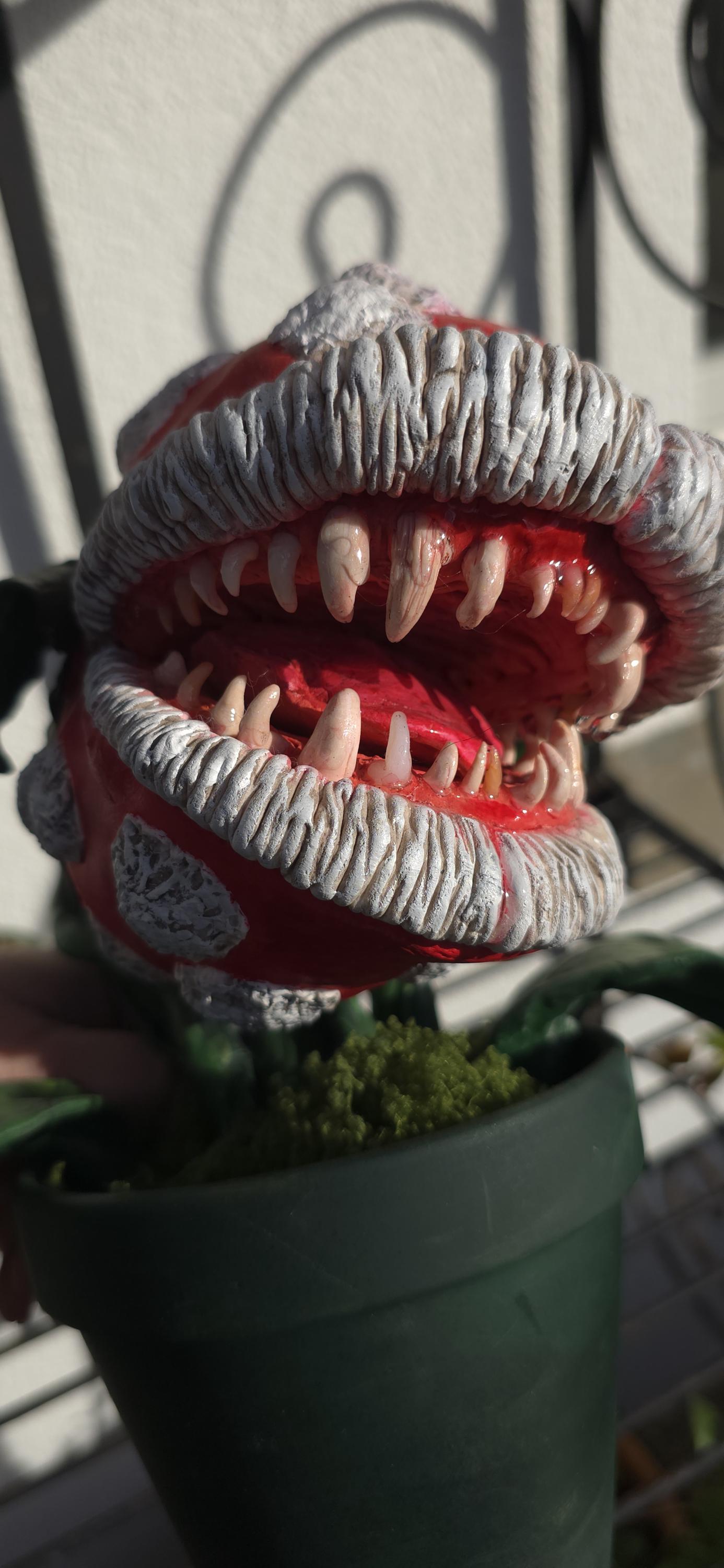 Plante Carnivore