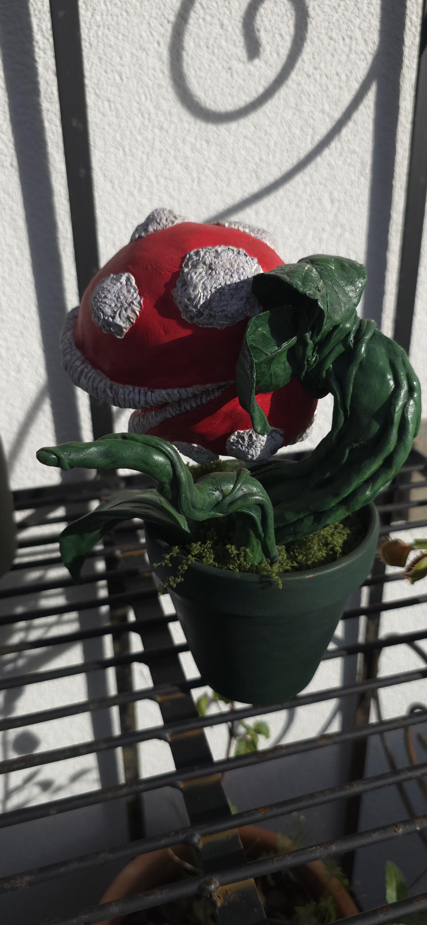 Plante Carnivore