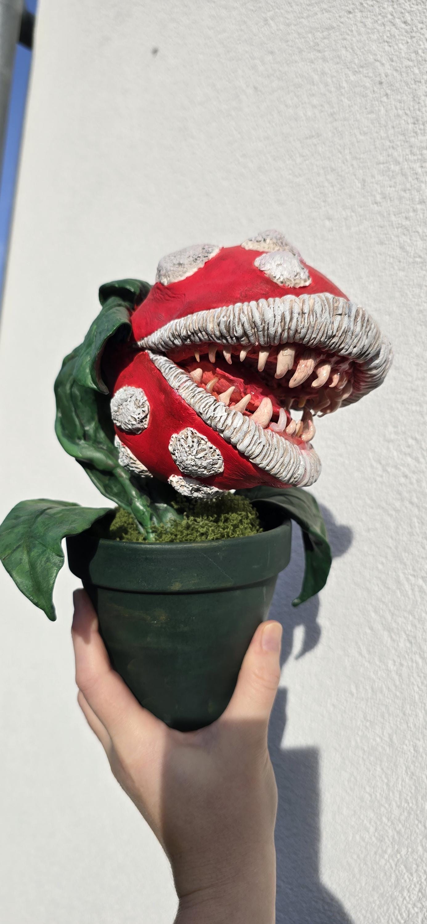 Plante Carnivore