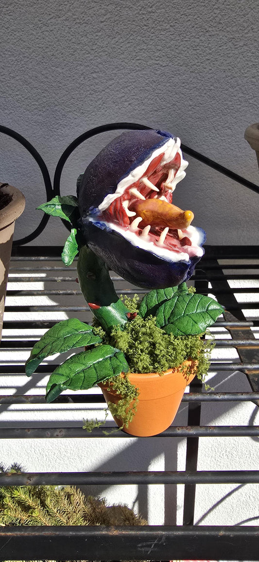 Plante carnivore