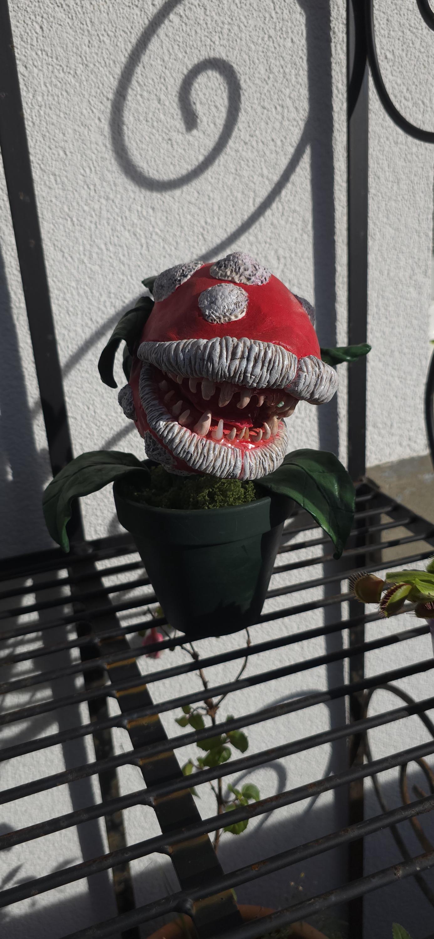 Plante Carnivore
