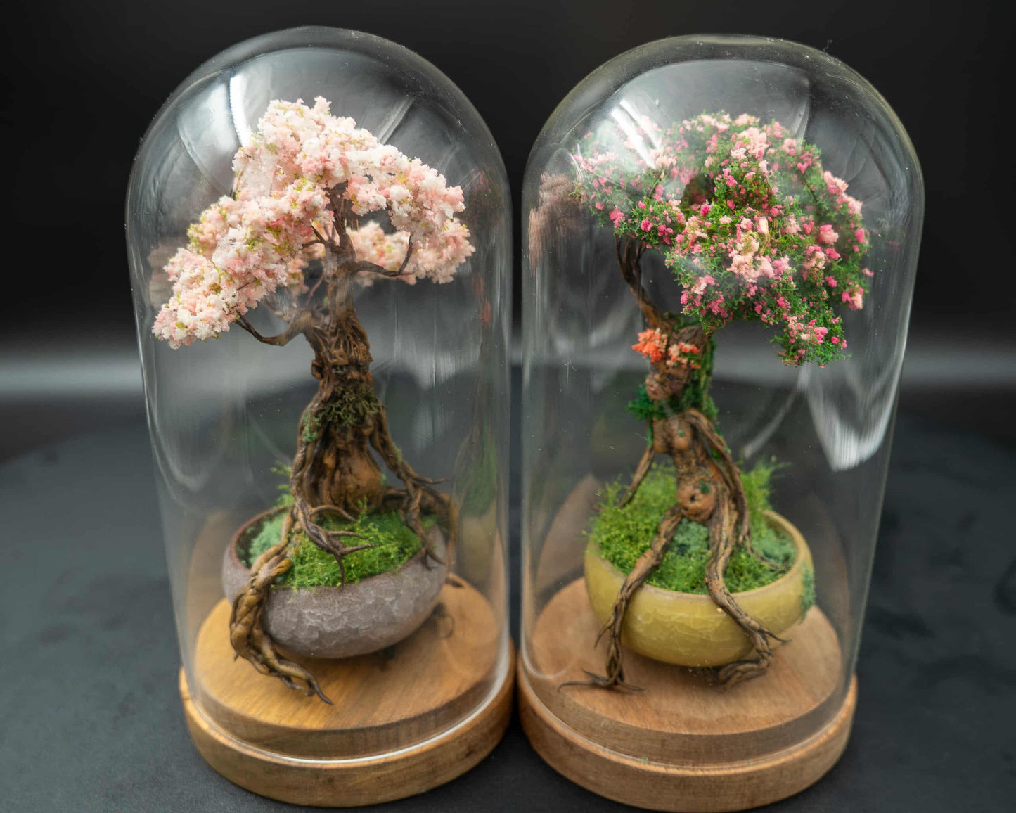 Bonsai Femme Ent sous globe