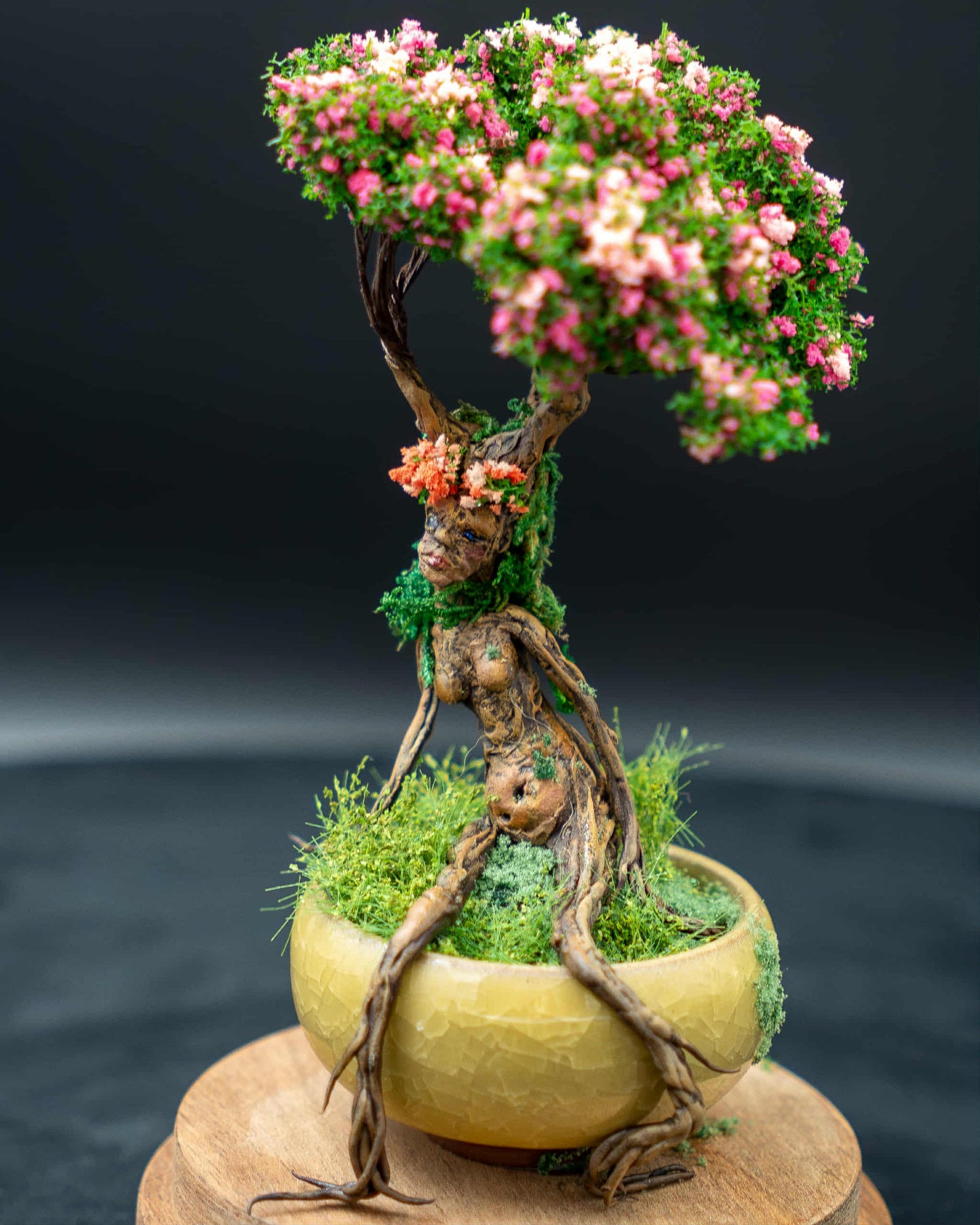 Bonsai Femme Ent sous globe