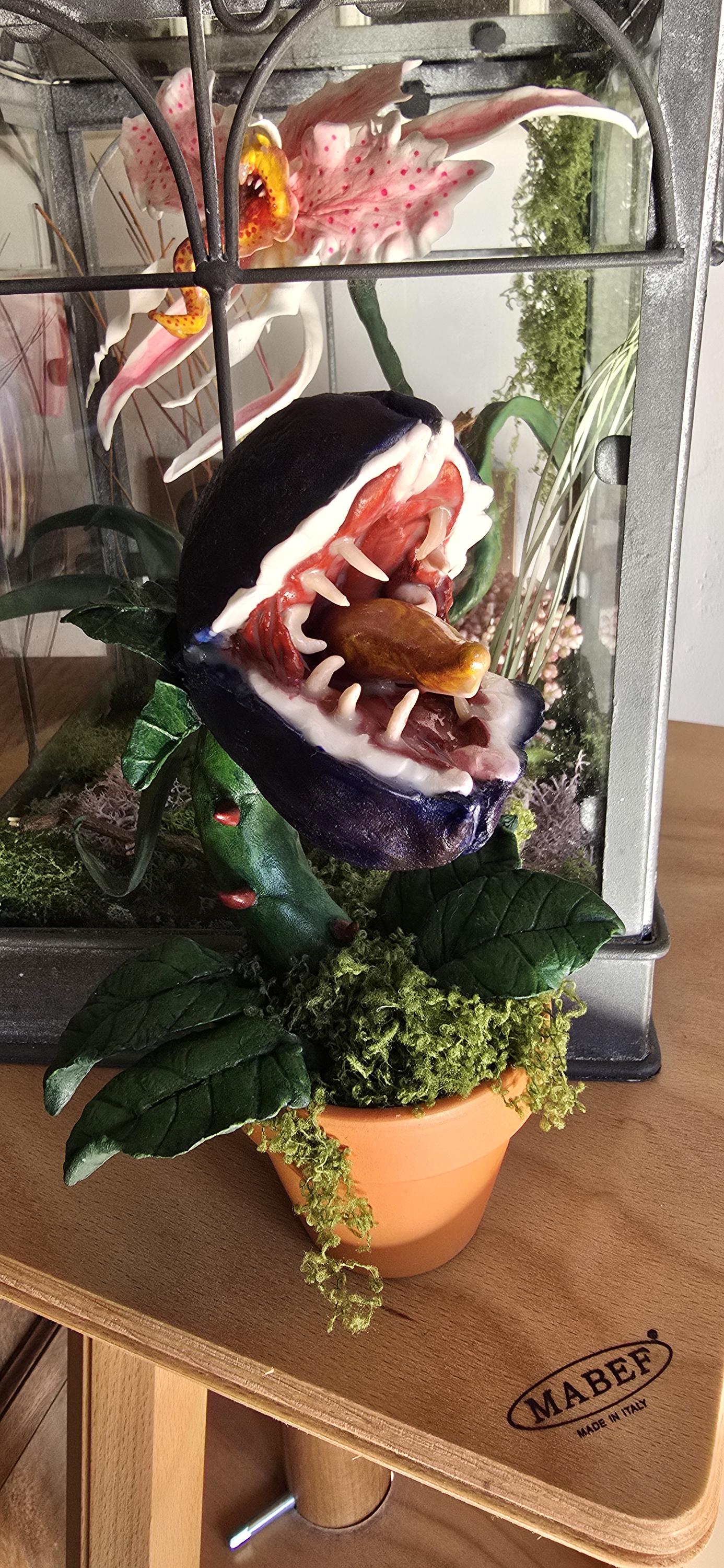 Plante carnivore