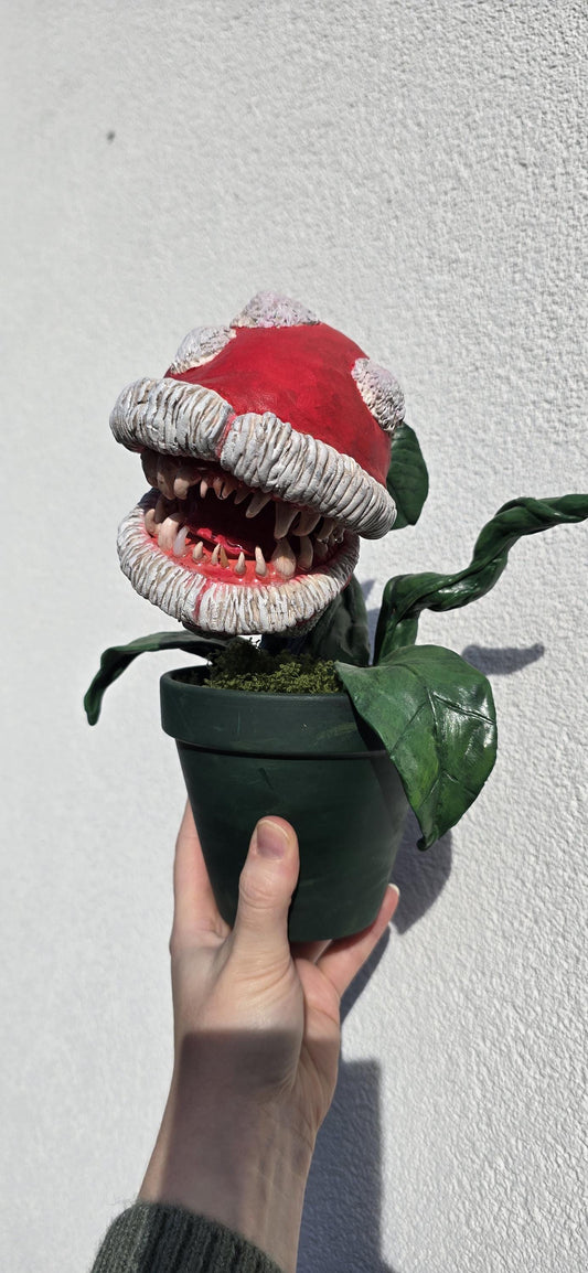 Plante Carnivore