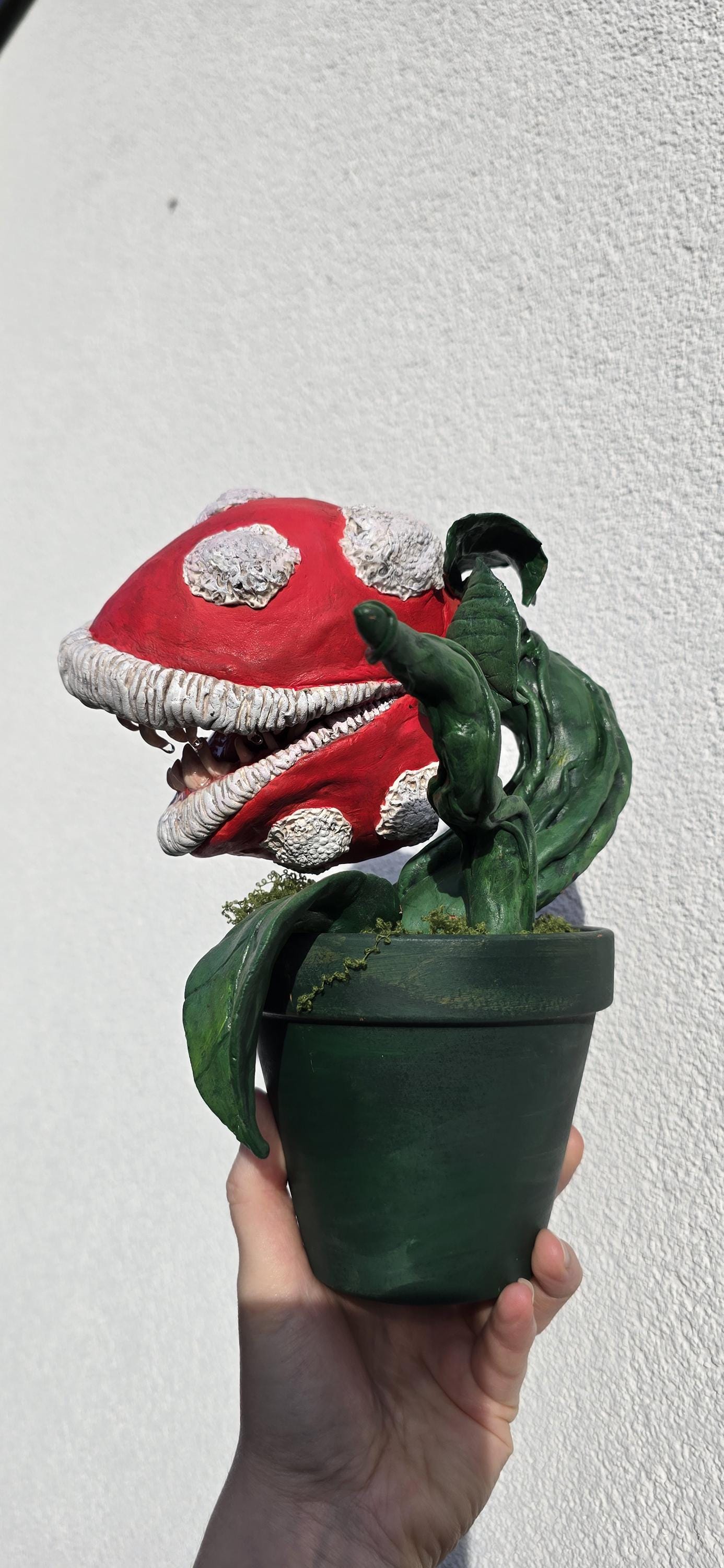 Plante Carnivore