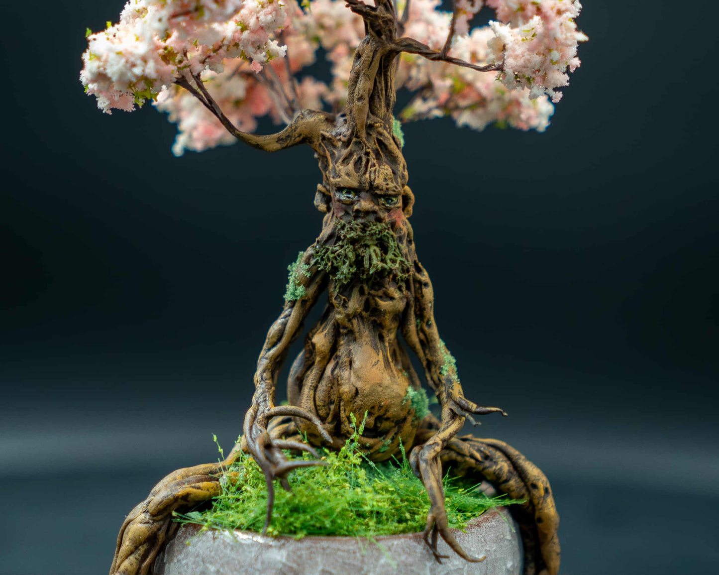 Bonsai Ent sous globe