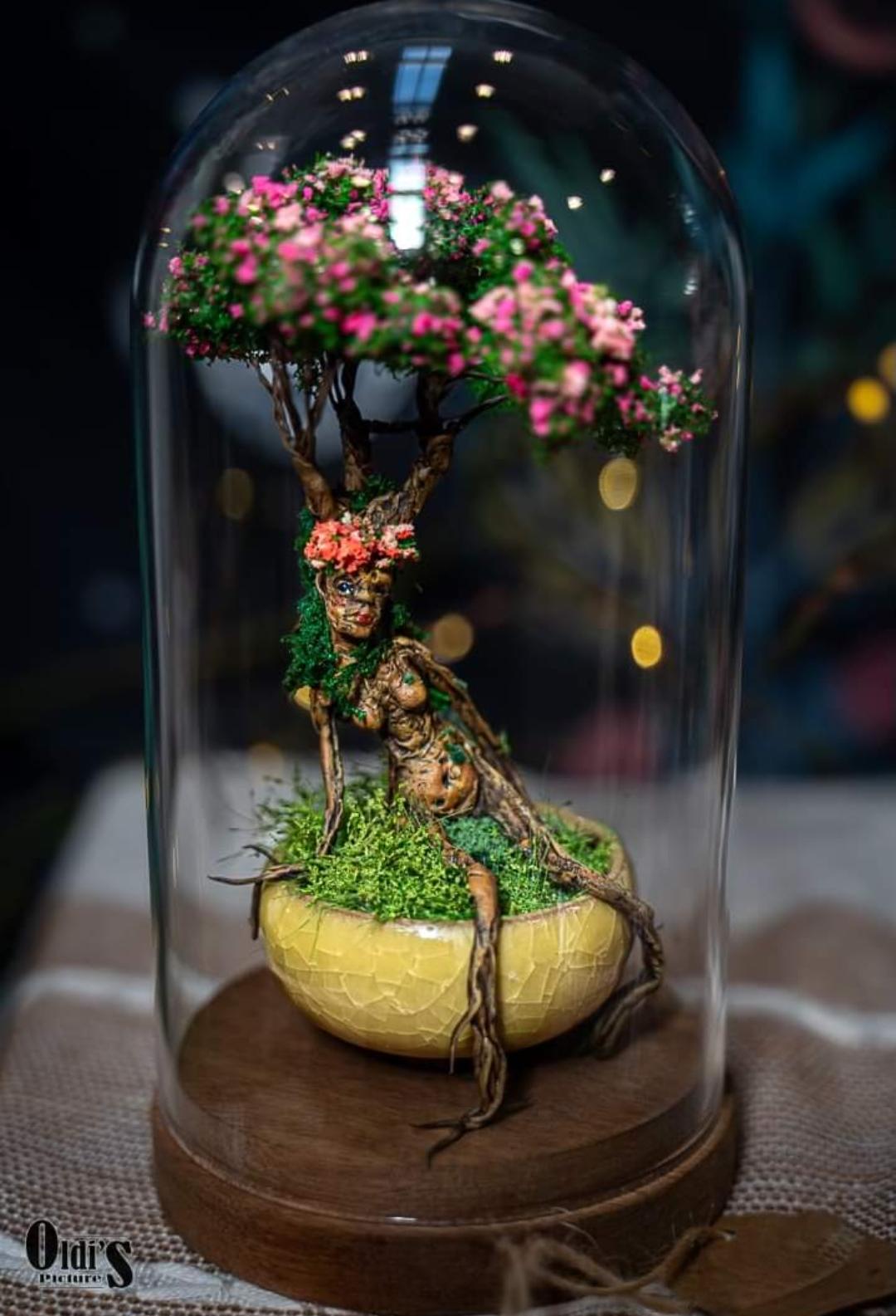 Bonsai Femme Ent sous globe