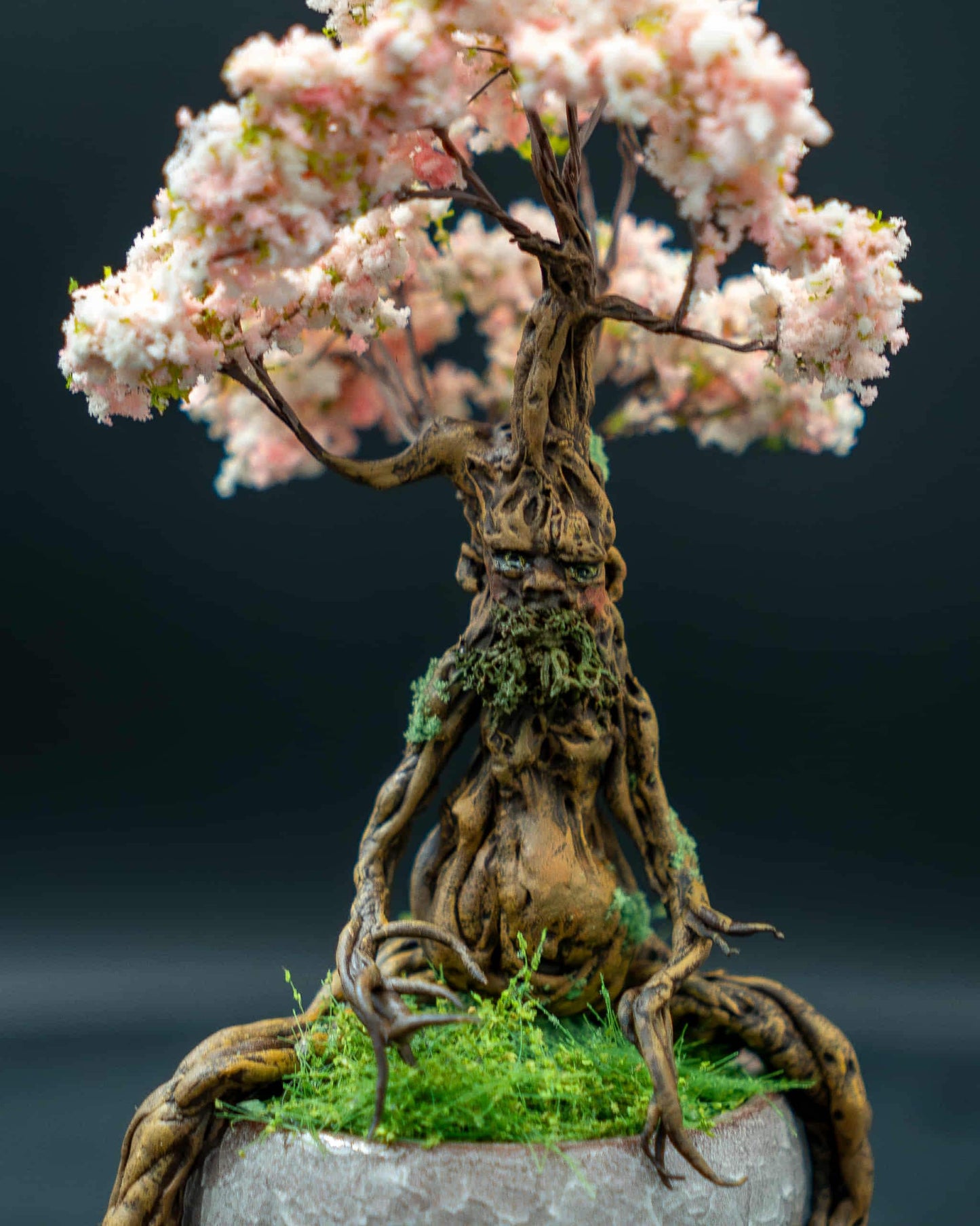 Bonsai Ent sous globe